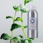 厂家供应 留兰香油/绿薄荷精油 单方精油 广州香料加工及批发零售